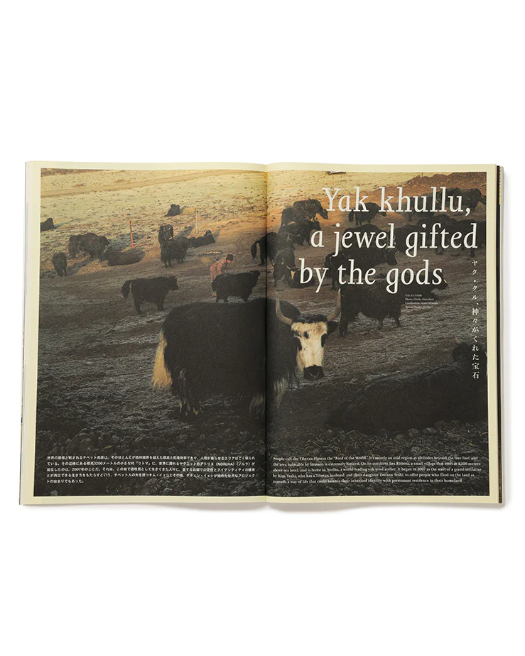 Subsequence Magazine, Vol 8 - Image 3